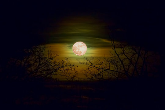 Dark moon
