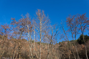 Little vilage between the mountains