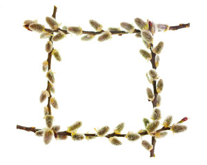 The frame of willow branches. Isolated on white background
