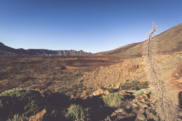 Landscape in Teide National Park, Canary Island Tenerife, Spain