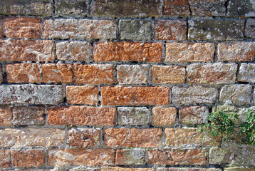 Old Victorian red brick wall closeup