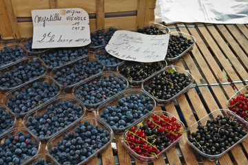 Brive la Gaillarde (Corrèze)
