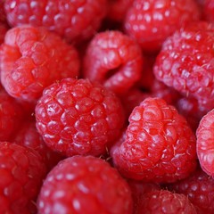 Fresh raspberries in bulk