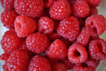 Fresh raspberries in bulk