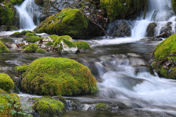 Fototapeta premium Mountain stream among the mossy stones