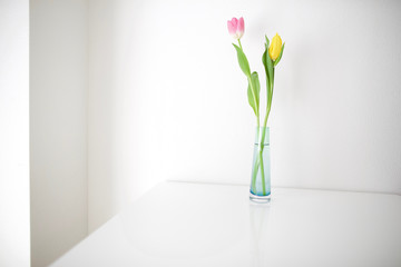 tulips on the table 