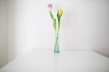 tulips on the table 