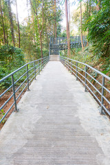 Obraz premium Metal staircase with handrails leading down the canopy walkway,c