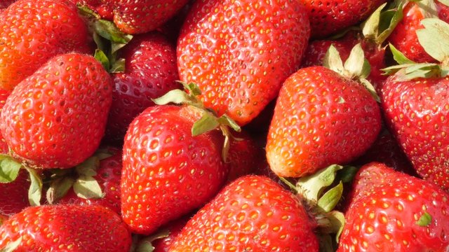 Red strawberry fruit background slow tilting 4K 2160p UltraHD footage - Fragaria ananassa slow tilt on red fresh fruit pieces 4K 3840X2160 UHD video 