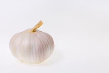 Head of garlic