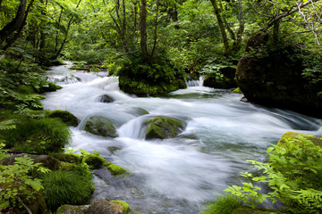 青森県　奥入瀬渓流
新緑と紅葉の時期がきれいな、日本が誇る渓流です。