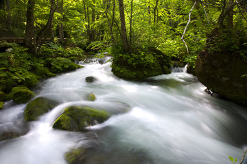 青森県　奥入瀬渓流
新緑と紅葉の時期がきれいな、日本が誇る渓流です。