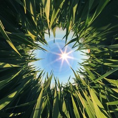 Fototapety na wymiar - Fototapeta24.pl