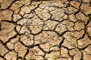 Cracks in the dried soil in arid season