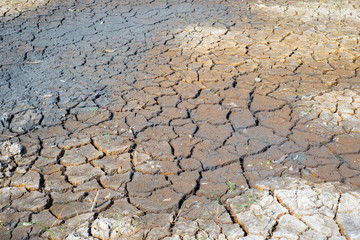 Cracks in the dried soil in arid season