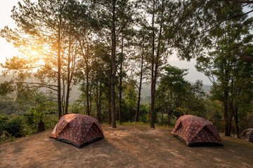 Tents on a hills at sunrise at Taksin Maharach National Park Tak,Thailand.