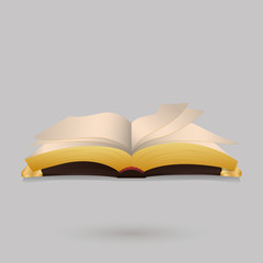 Book icon design 