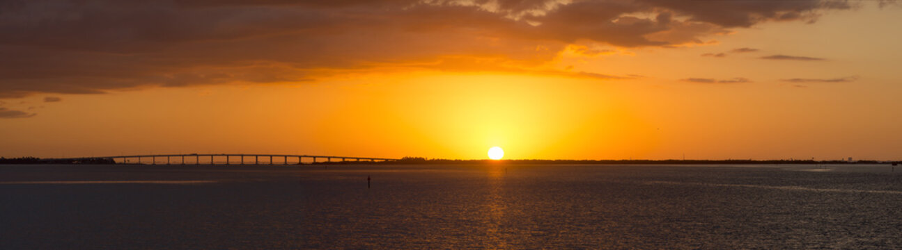Fototapeta Tampa Bay sunrise panoramic