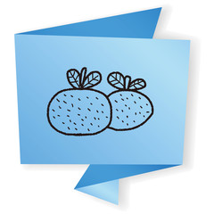 Chinese New Year; Chinese lucky orange means 