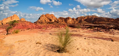 Crédence de cuisine en verre imprimé Sécheresse Paysage du désert du Sinaï