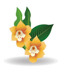 Tropical icon design 