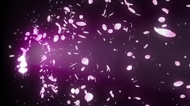 桜 回転 舞う 黒背景