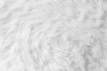 Sheep wool fur background texture wallpaper.