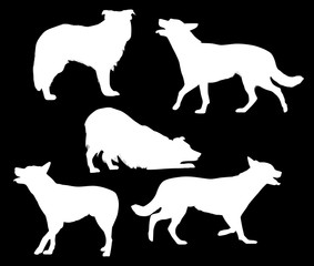 five white isolated dog silhouettes