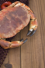 crab with fishing net