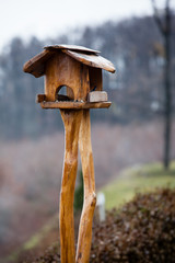 Bird feeder