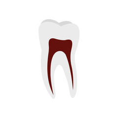 Human tooth icon