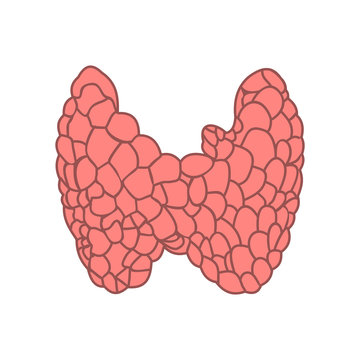 Thyroid icon flat