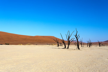 Hidden Vlei in Namib desert