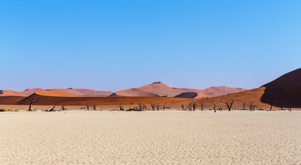 Hidden Vlei in Namib desert