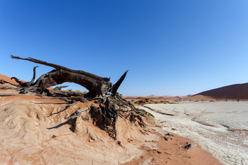 Hidden Vlei in Namib desert