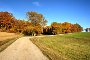 Landstrasse im Herbst