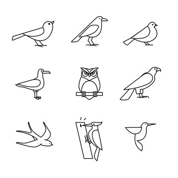 Birds icons thin line art set