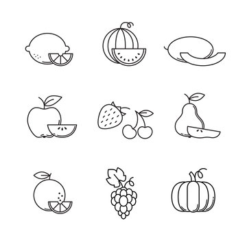 Fruit icons thin line art set