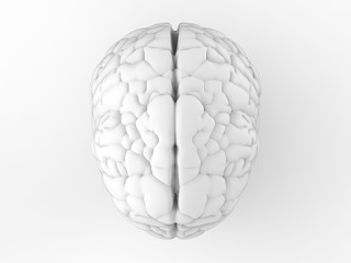 white brain on white background