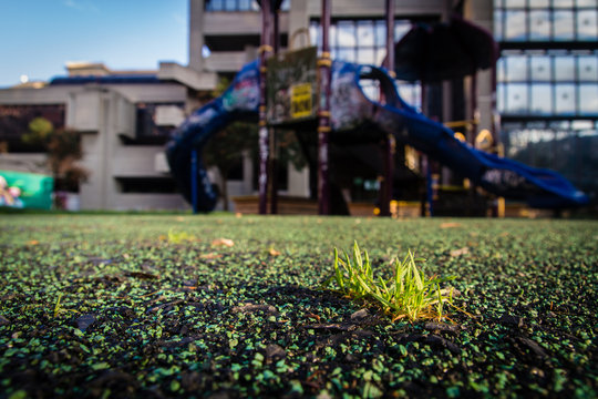 giochi, degrado e speranza