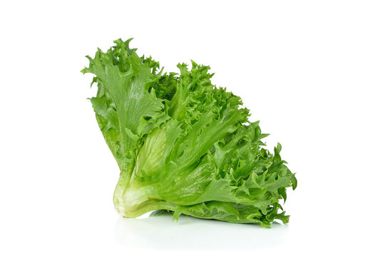 Green lettuce isolated on the white background