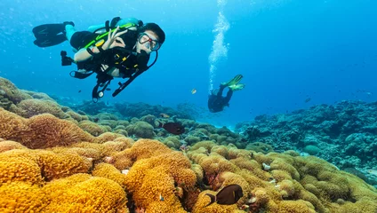 Crédence de cuisine en verre imprimé Plonger Scuba diver explore a coral reef showing ok sign