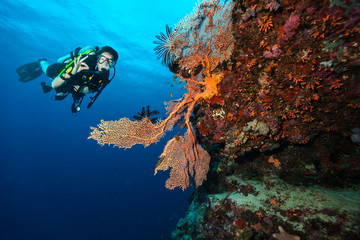 Scuba diver explore a coral reef showing ok sign