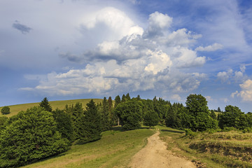 Fototapeta na wymiar Landscape with empty forest road through the meadow 