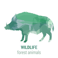 Wildlife banner - forest animals