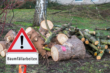 Fototapeta premium Achtung Baumfällarbeiten Warnschild
