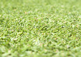 Naklejka premium grass