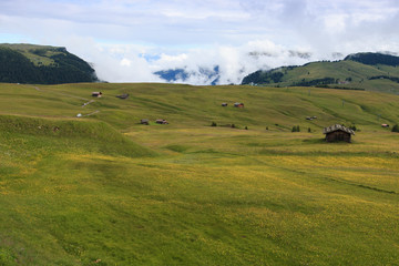 Alpe di Siusi