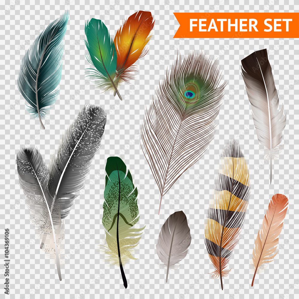 Sticker feathers realistic set