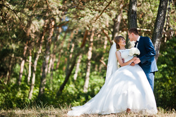 Lovely wedding couple at sunny day on pine wood forest